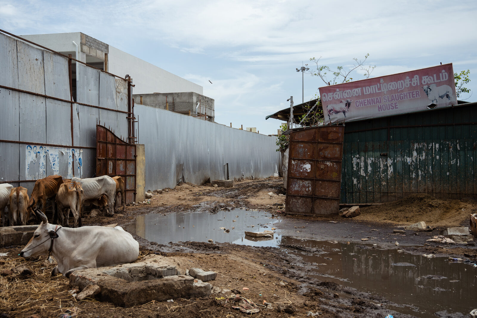 Entrance of the old Puliyanthope cattle slaughterhouse.