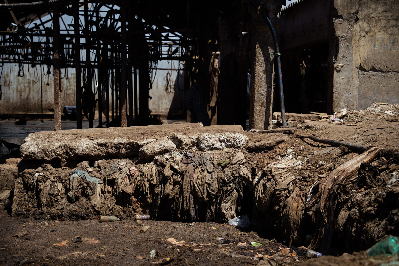 Plastic and animal waste piled up at the temporary cattle slaughter house at Puliyanthope.
